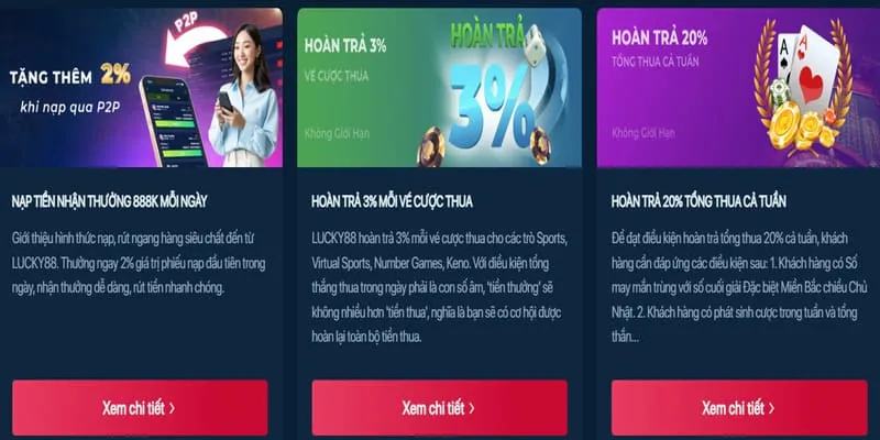 Thông tin giao dịch và hoạt động cá cược
